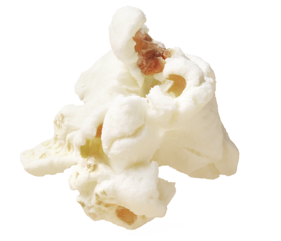 Popcorn Kernel