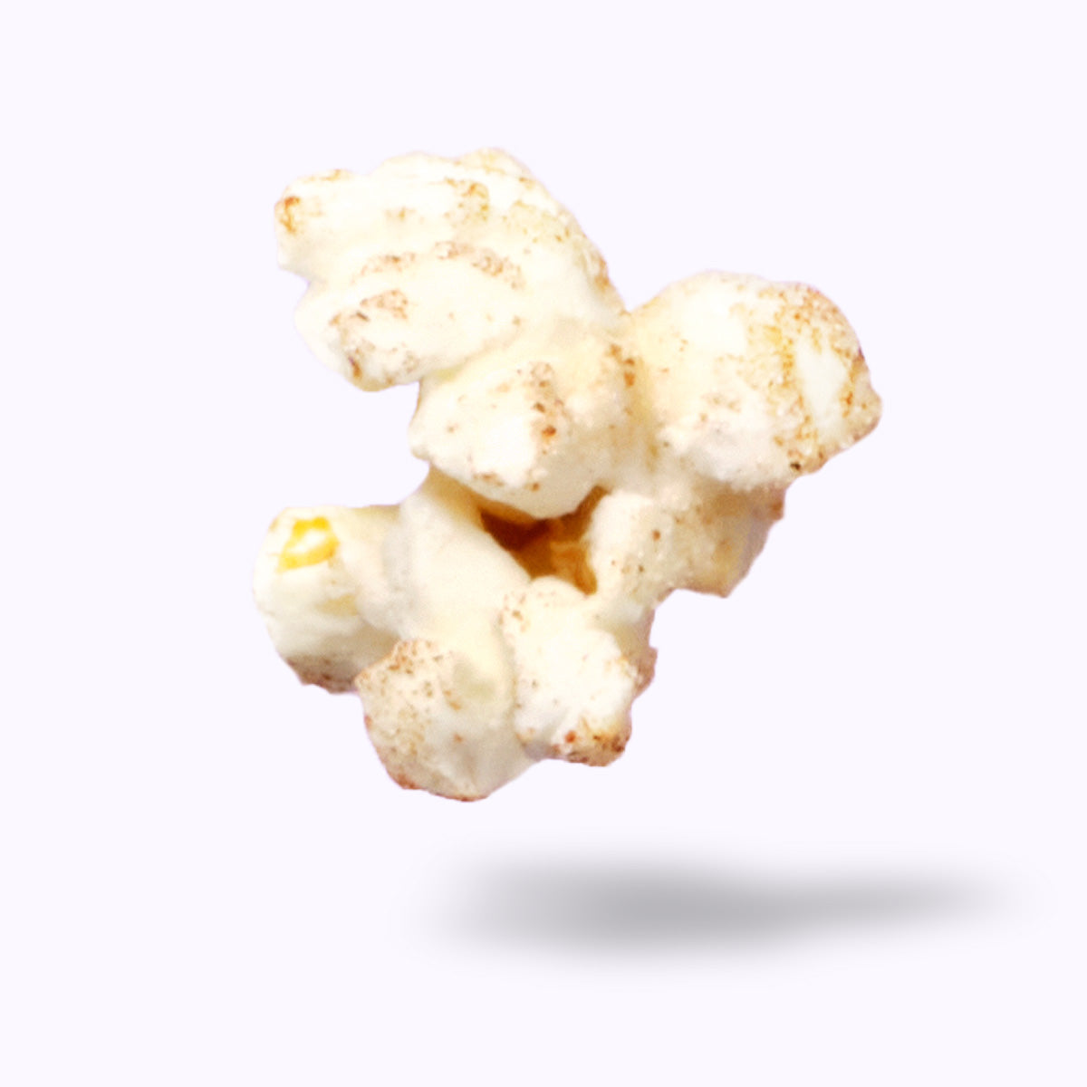 Cinnamon Roll Protein Popcorn (Standard Size)