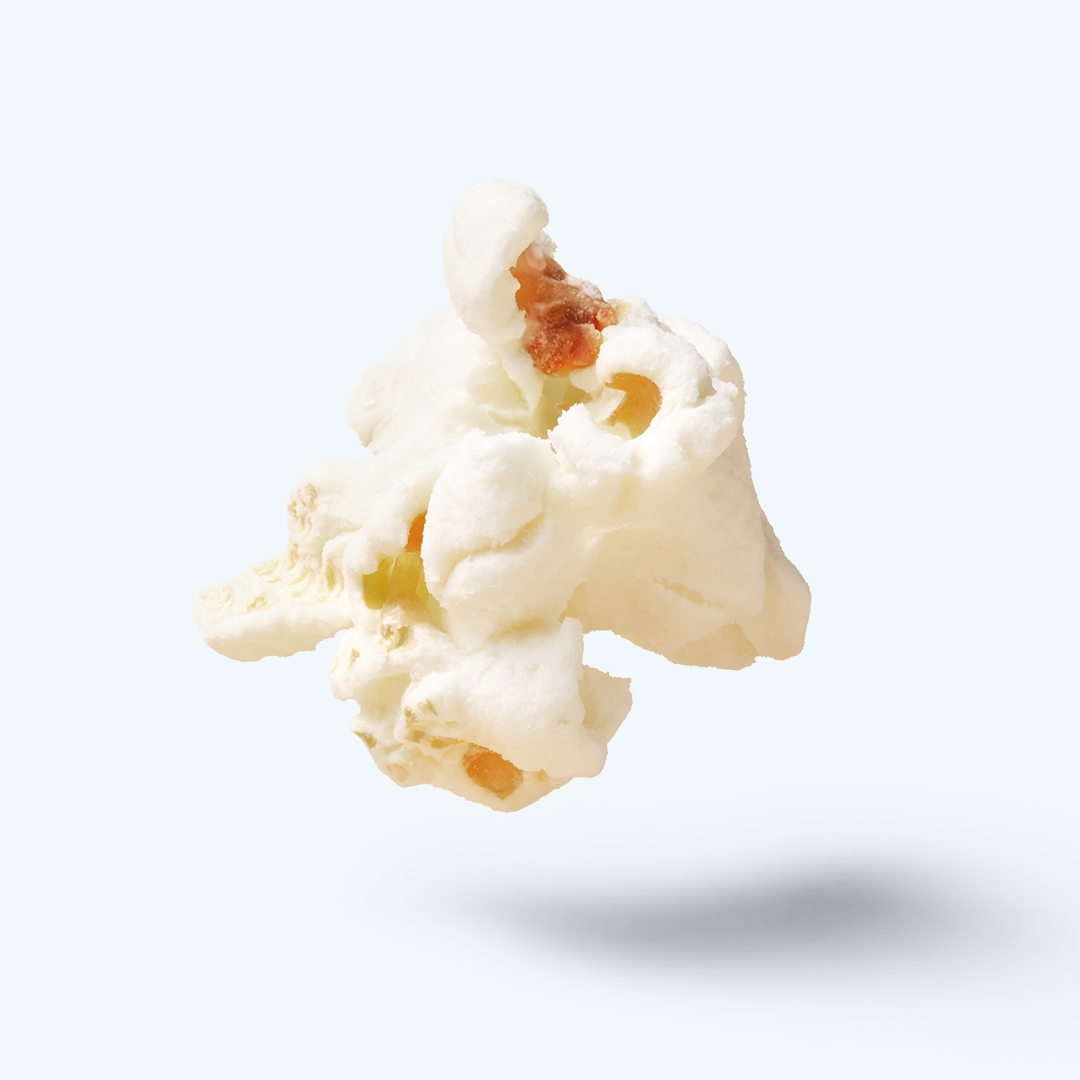 4-Pack | Olive Oil & Sea Salt Protein Popcorn